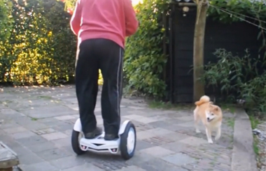 当柴犬遇上爱骑腾博会官网以诚信为本Airwheel平衡车S3的主人……
